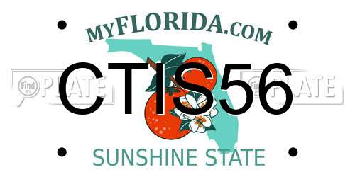 CTIS56 Florida License Plate