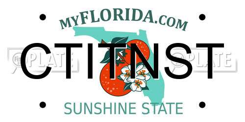 CTITNST Florida License Plate