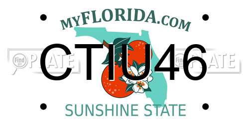 CTIU46 Florida License Plate