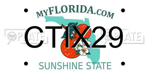 CTIX29 Florida License Plate
