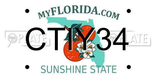 CTIY34 Florida License Plate