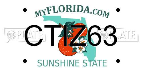 CTIZ63 Florida License Plate