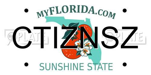 CTIZNSZ Florida License Plate