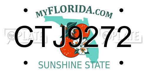 CTJ9272 Florida License Plate