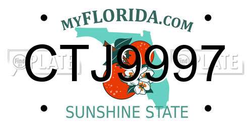 CTJ9997 Florida License Plate