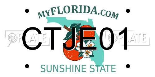 CTJE01 Florida License Plate