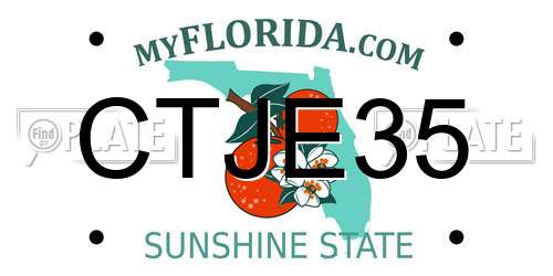 CTJE35 Florida License Plate