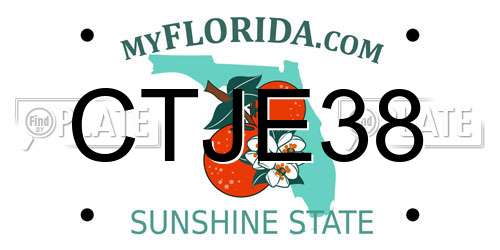 CTJE38 Florida License Plate
