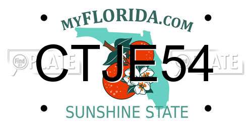 CTJE54 Florida License Plate
