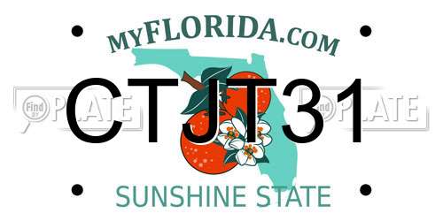 CTJT31 Florida License Plate