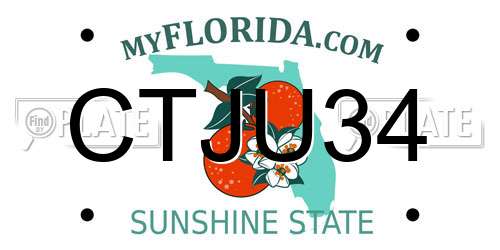 CTJU34 Florida License Plate