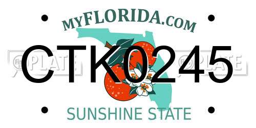 CTK0245 Florida License Plate