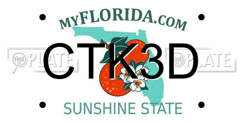 CTK3D Florida License Plate
