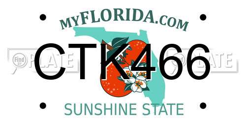 CTK466 Florida License Plate