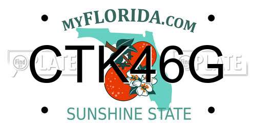 CTK46G Florida License Plate