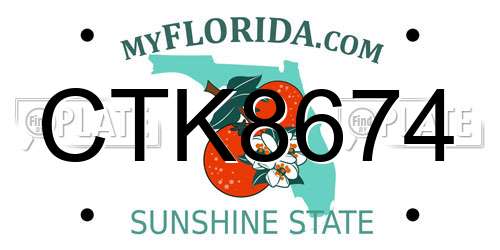 CTK8674 Florida License Plate