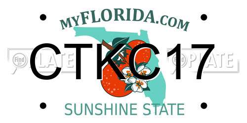 CTKC17 Florida License Plate
