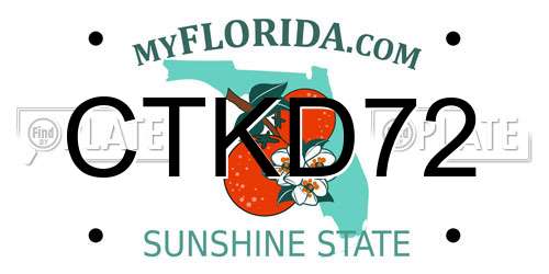 CTKD72 Florida License Plate