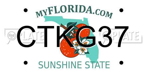 CTKG37 Florida License Plate