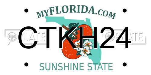 CTKH24 Florida License Plate