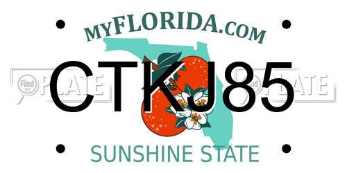 CTKJ85 Florida License Plate