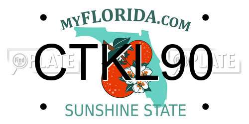 CTKL90 Florida License Plate