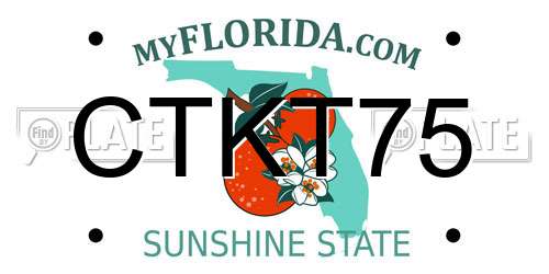 CTKT75 Florida License Plate