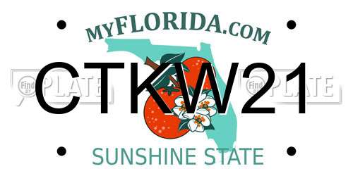 CTKW21 Florida License Plate