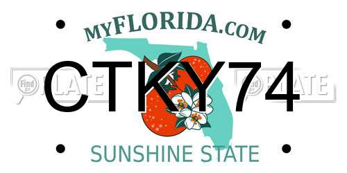 CTKY74 Florida License Plate