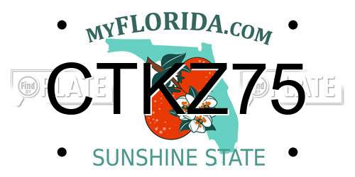 CTKZ75 Florida License Plate