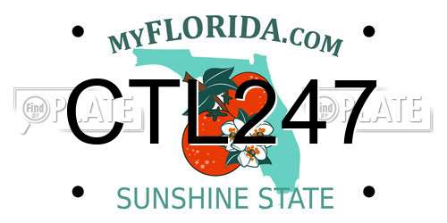 CTL247 Florida License Plate