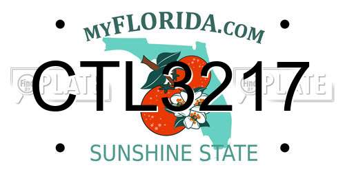 CTL3217 Florida License Plate