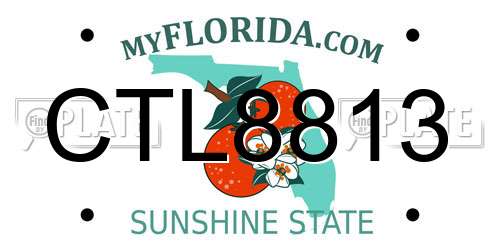 CTL8813 Florida License Plate