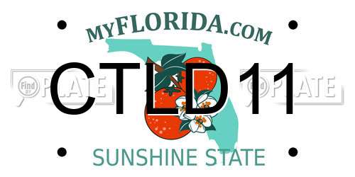 CTLD11 Florida License Plate