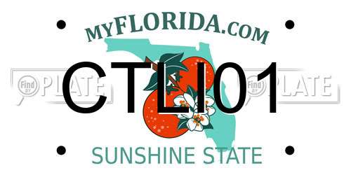 CTLI01 Florida License Plate
