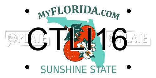 CTLI16 Florida License Plate