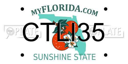 CTLI35 Florida License Plate