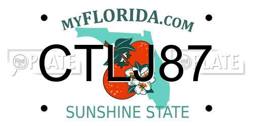 CTLJ87 Florida License Plate