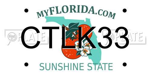 CTLK33 Florida License Plate