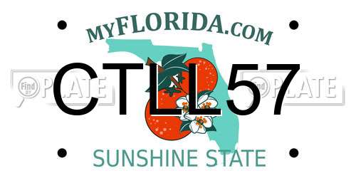 CTLL57 Florida License Plate