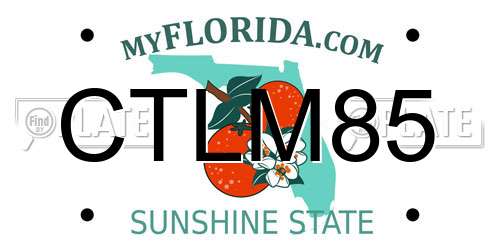 CTLM85 Florida License Plate