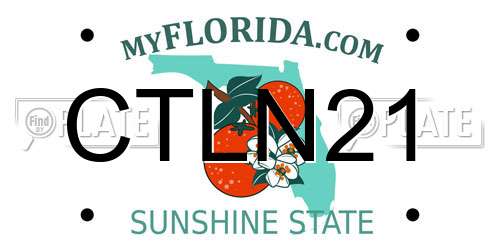 CTLN21 Florida License Plate
