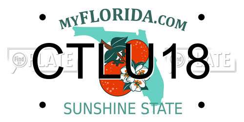 CTLU18 Florida License Plate