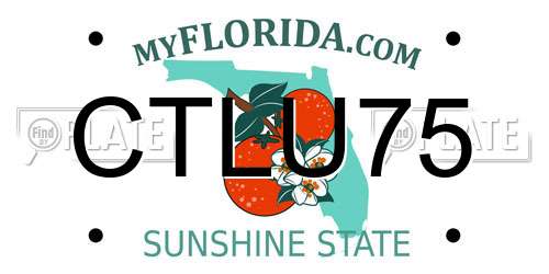 CTLU75 Florida License Plate