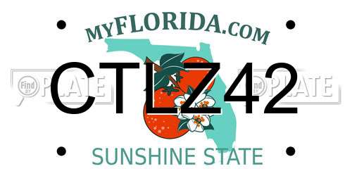 CTLZ42 Florida License Plate