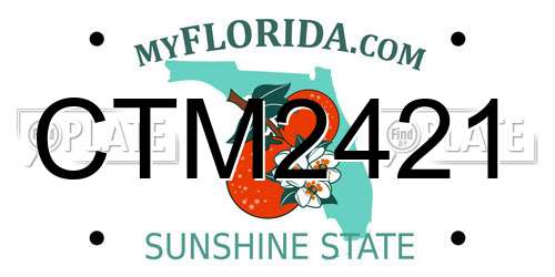 CTM2421 Florida License Plate