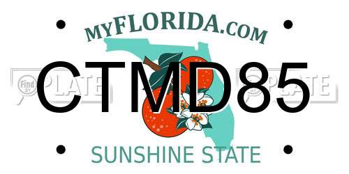 CTMD85 Florida License Plate