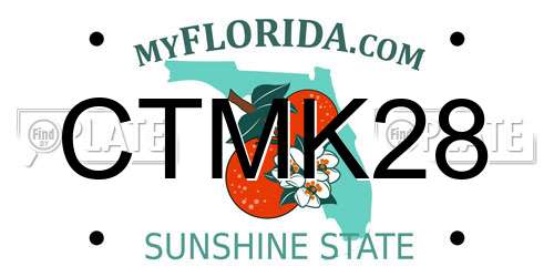 CTMK28 Florida License Plate