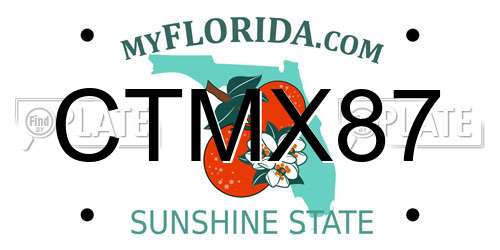 CTMX87 Florida License Plate