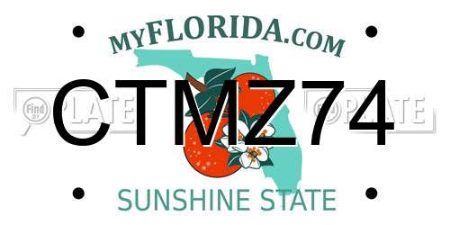 CTMZ74 Florida License Plate